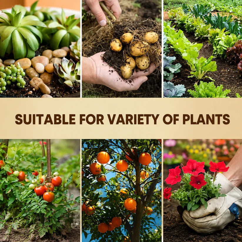 🏆 SAVE 60% OFF TODAY ONLY 🌳Plant Organic Soil Activator - Improve Soil Health & Maximize Plant Growth Naturally