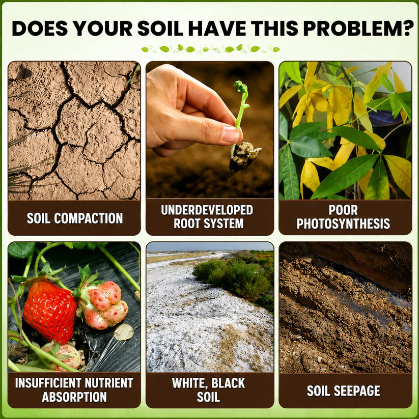 🏆 SAVE 60% OFF TODAY ONLY 🌳Plant Organic Soil Activator - Improve Soil Health & Maximize Plant Growth Naturally