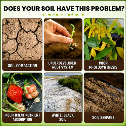 🏆 SAVE 60% OFF TODAY ONLY 🌳Plant Organic Soil Activator - Improve Soil Health & Maximize Plant Growth Naturally